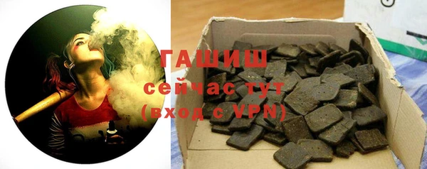 шишки Белокуриха