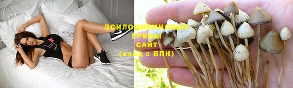 дмт Беломорск