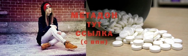 шишки Белокуриха