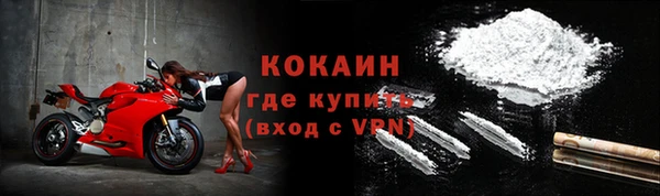 шишки Белокуриха