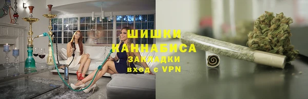 шишки Белокуриха