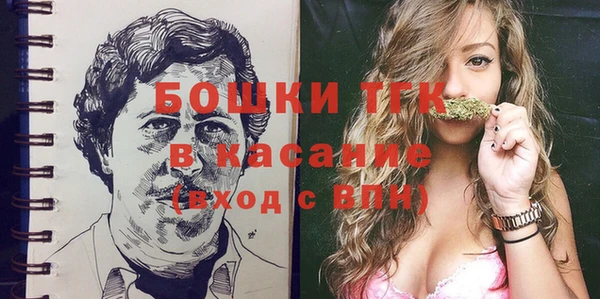 шишки Белокуриха