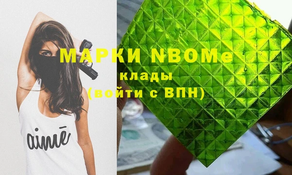 шишки Белокуриха