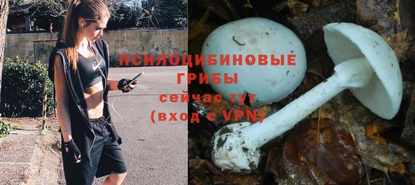 дмт Беломорск