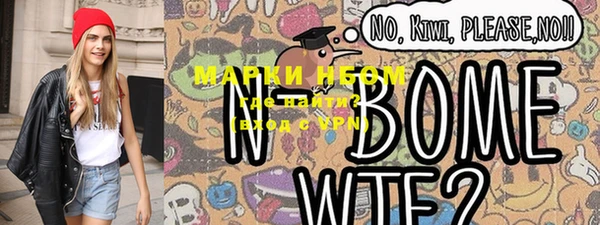 шишки Белокуриха