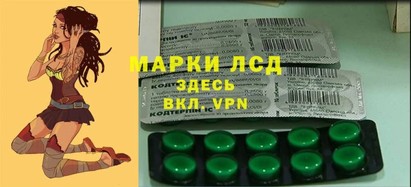 шишки Белокуриха