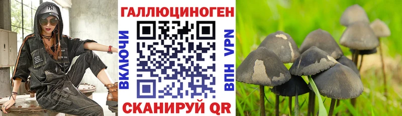 Псилоцибиновые грибы мухоморы Гремячинск