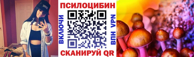 Галлюциногенные грибы Magic Shrooms  Гремячинск 